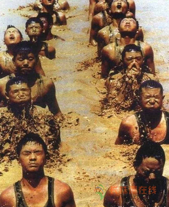 26.jpg